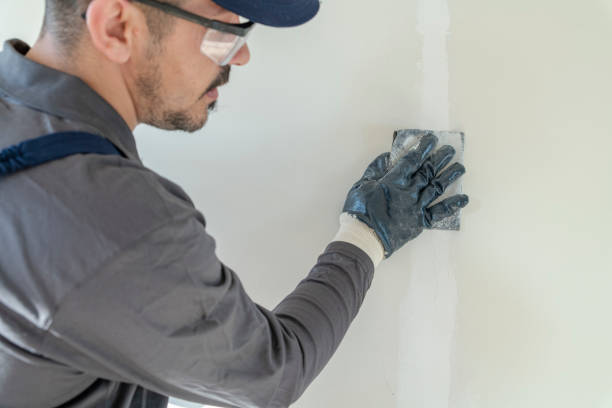 Best Faux Finishing and Decorative Painting  in Isla Vista, CA